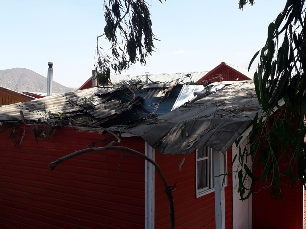Petorca Caída de árbol dañó casa habitación de Pedegua Montealegre